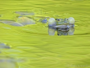 20260525_1134_PS_DxO_XD2s