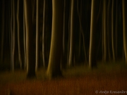 20251017_0334__PS_1_h_DxO_XD2s
